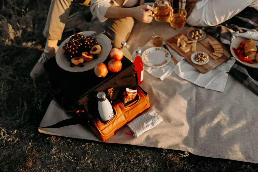 Foldable Picnic Blanket